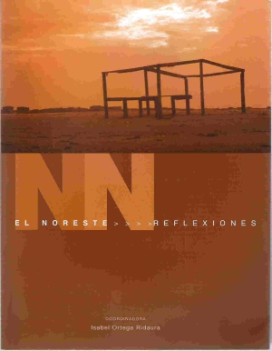 El Noreste. Reflexiones